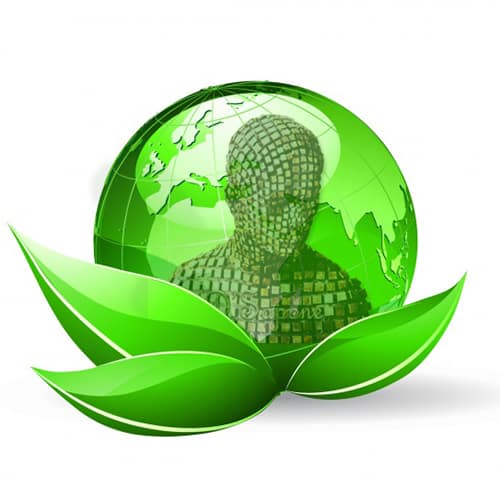Environmental sustainability statement