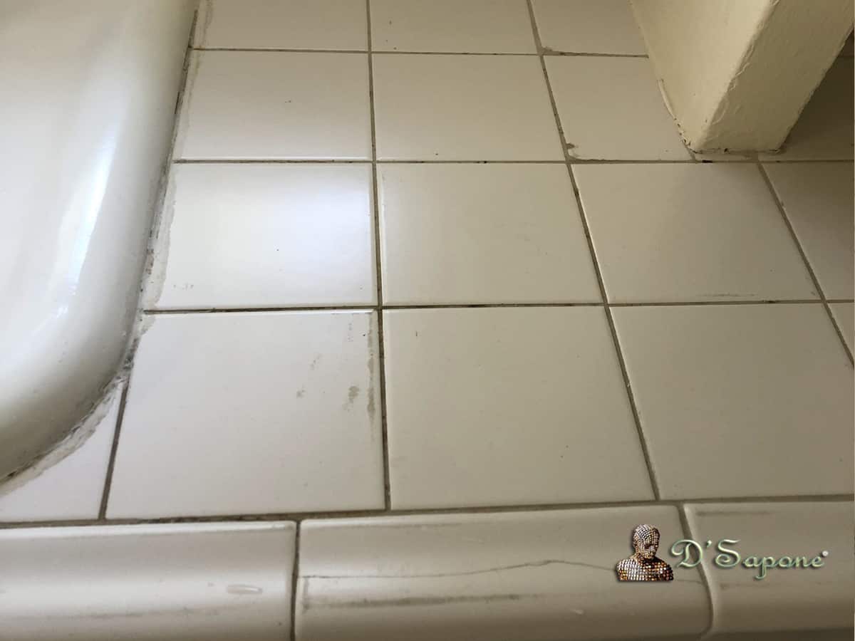 Tile Cleaning | Free In-Home Consultation - D'Sapone