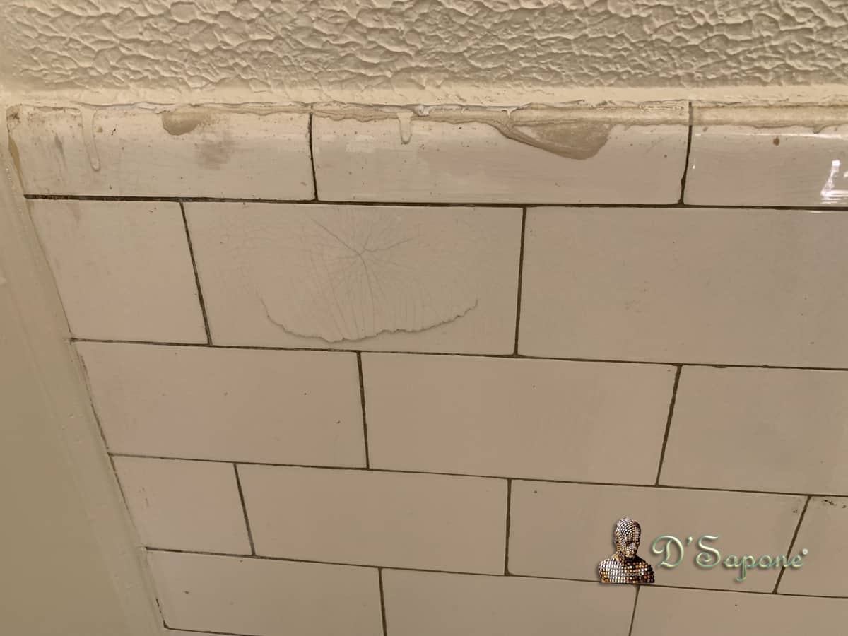 epoxy-resin topical sealers to seal your tile - D'Sapone