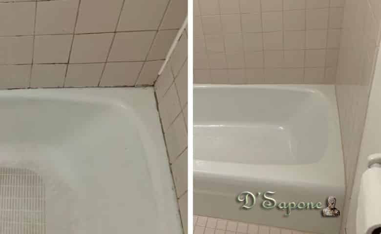 tub Caulking and Mold Removal Contractors dsapone